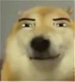 Smirking Dog Meme Guide: Original Source, Best Uses, and Downloadable Templates