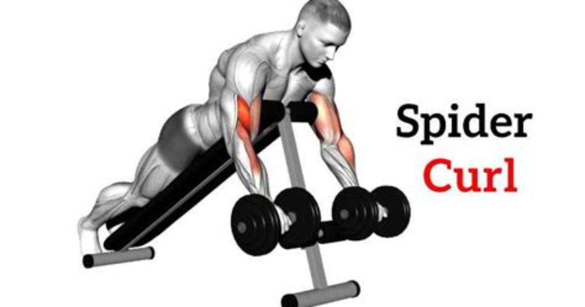 Spider Curls vs African Curls Video Breakdown of Form Angle And