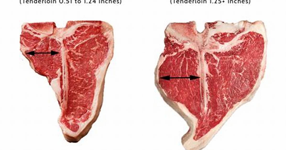 T Bone vs Porterhouse Side by Side Visual Anatomy And