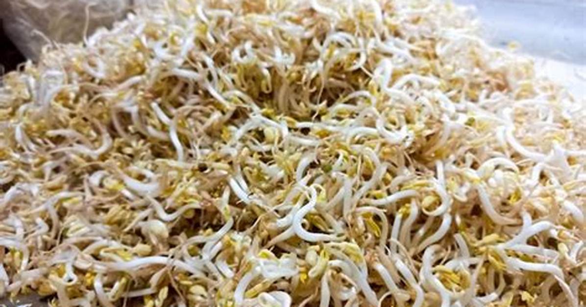 Taoge Chino Mingshin Di6Hua 7Huano Po Huai Li Xin Yuan Jie Yito Xing Ye Yuannoriaruna Biao Qing Bian Huawo Che Di