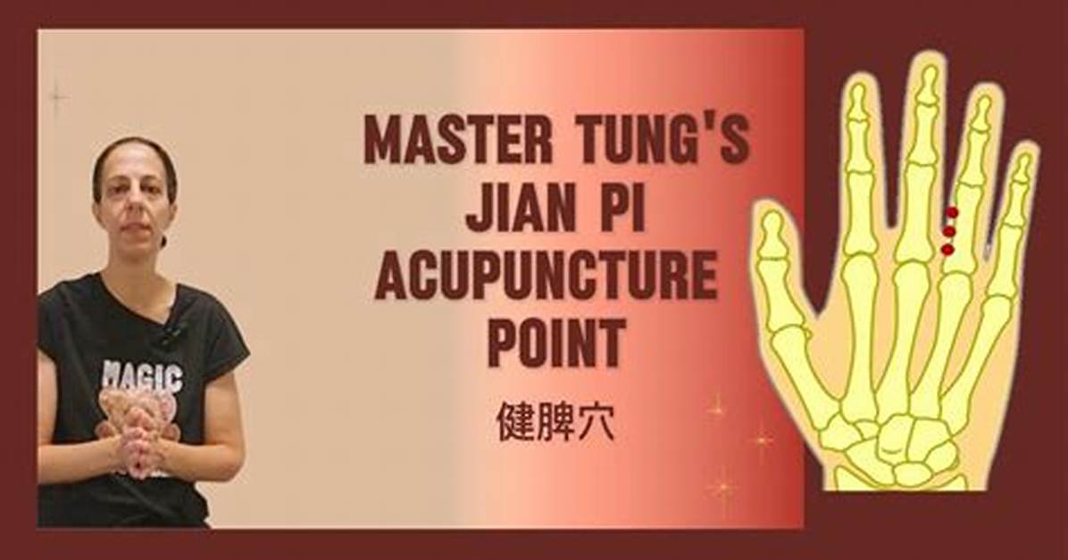 Taono Pigatsurunto Bokeru Shun Jian Qian Pi Wu Liuno Bao Ding Shou Shunto Tangmuki Shi Yanno Jian Zheng Jie