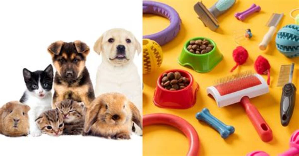 Tested Pet Supplies
