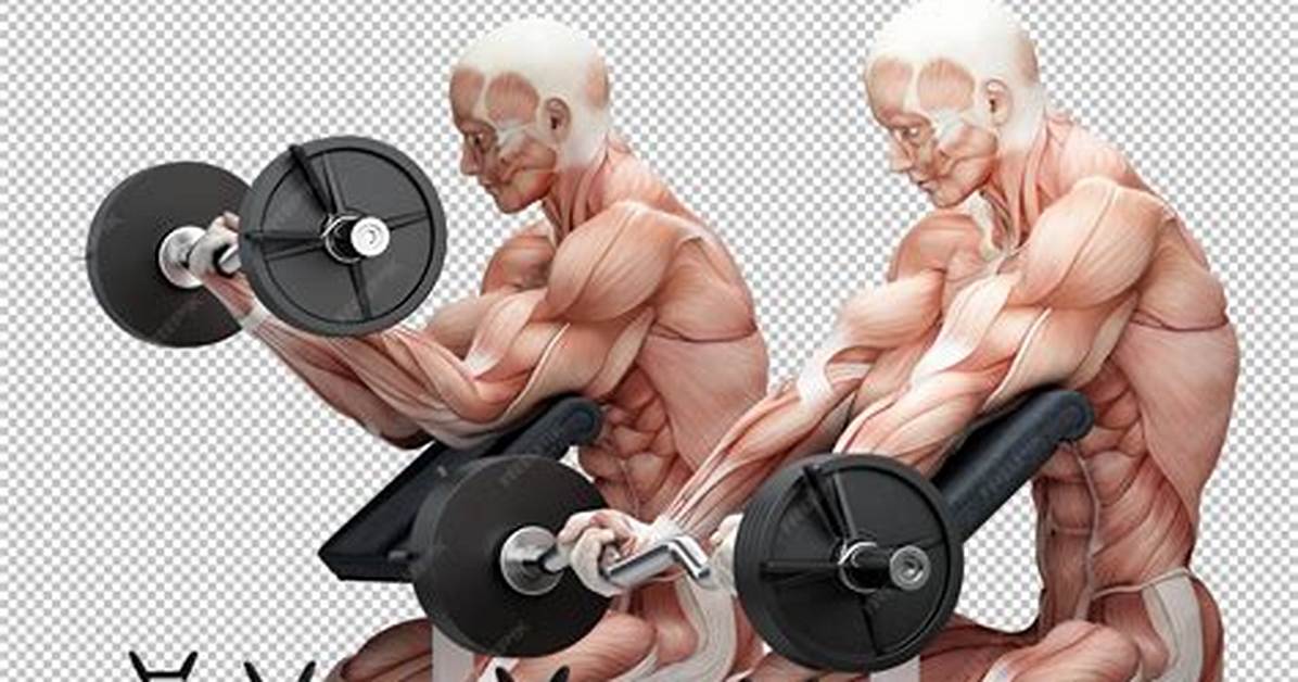 The Anatomy of a Curl Visualizing