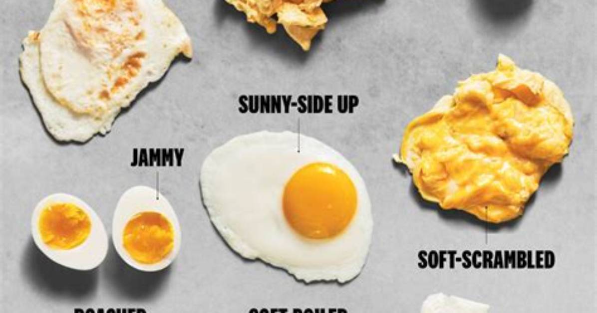 The Best Egg Types for Cooking from Poached Brunches To