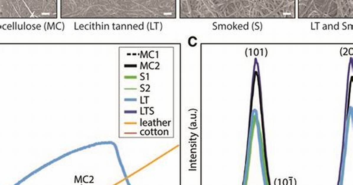 The Biotextile Evolution How