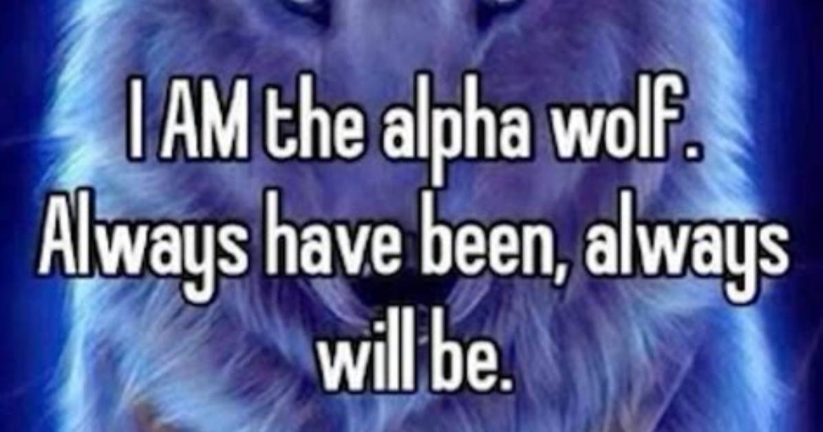 The Complete Explainer on Alpha Wolf Memes Meaning Templates And