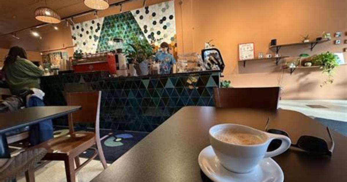 The Complete Mosaic Coffee Co Guide Best Beans Brewing And
