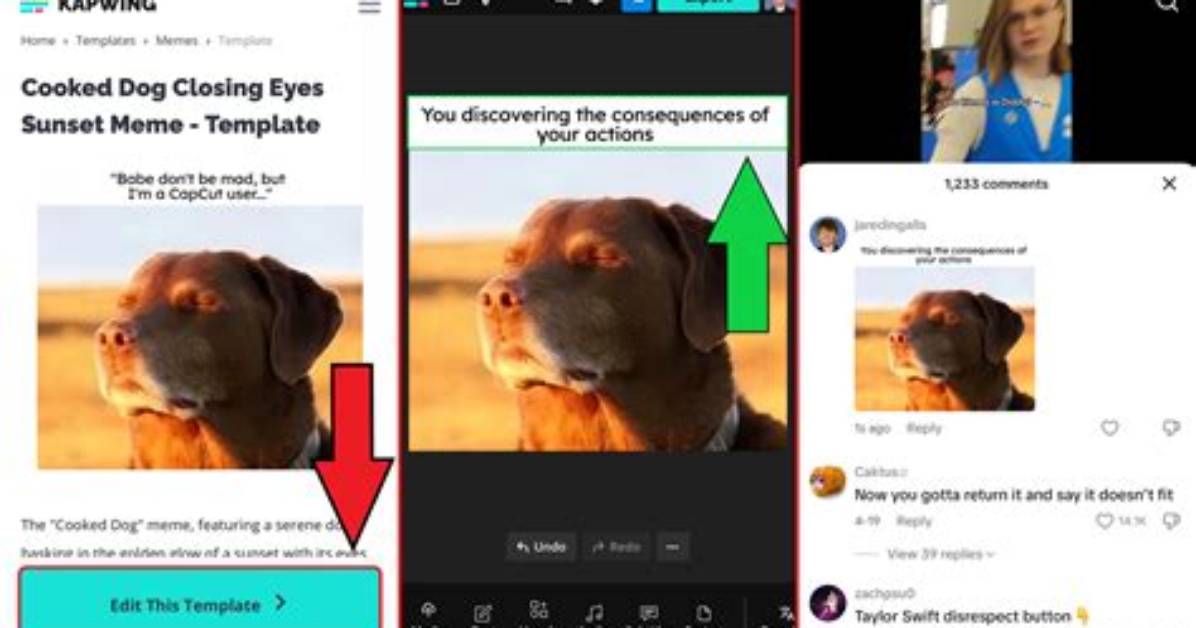 The Complete Tiktok Comment Meme Guide