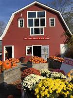 The Complete Visitor Guide to Wilkens Fruit and Fir Farm: Apples, Wine, and Mazes