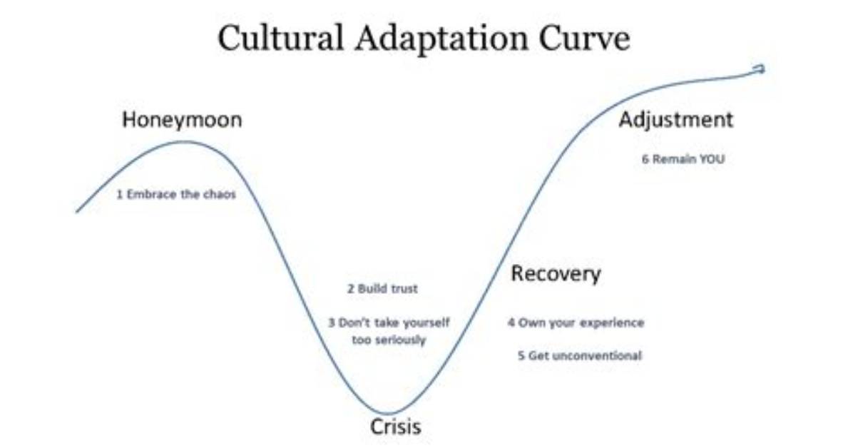The Cultural History of the Curve Deconstructing the Modern Obsession With