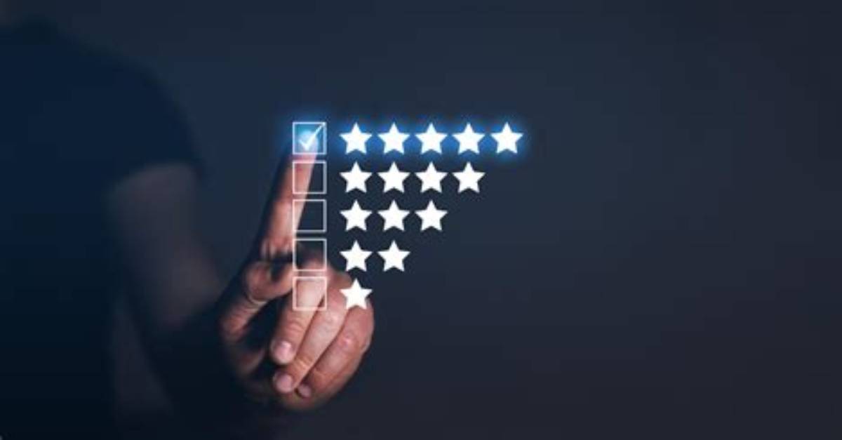The Industry Evolution Tracking Bbw Category Honors Across Key
