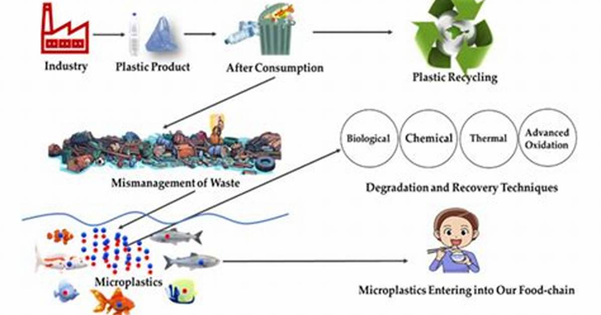 The Microplastic Dilemma Are Sustainable