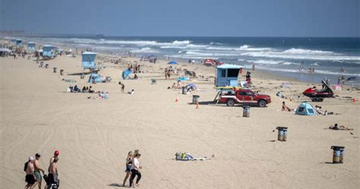 The Orange Beach Official Arrests Verified Allegations Names and City