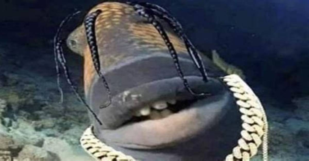 The Rise of Travis Scott Fish a Complete Timeline of the Internet S