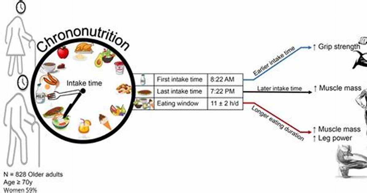 The Shift in Chrono Nutrition How New Findings Are Redefining Healthy