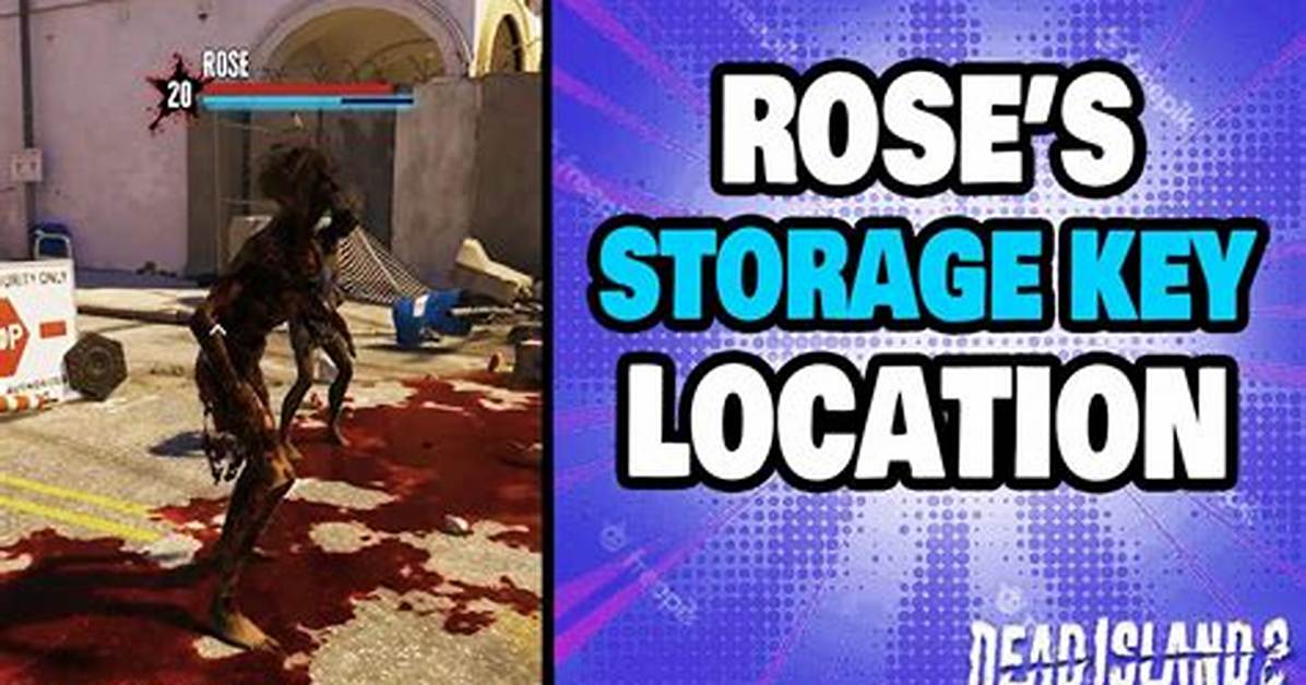 The Sisi Rose Storage
