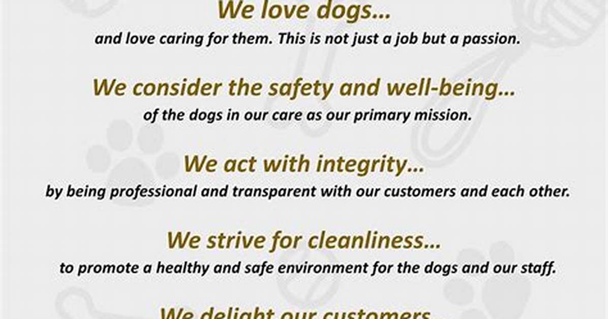 The Surprising Second Act of Lucky Dogs Bemidji How a Retirement Dream Became A