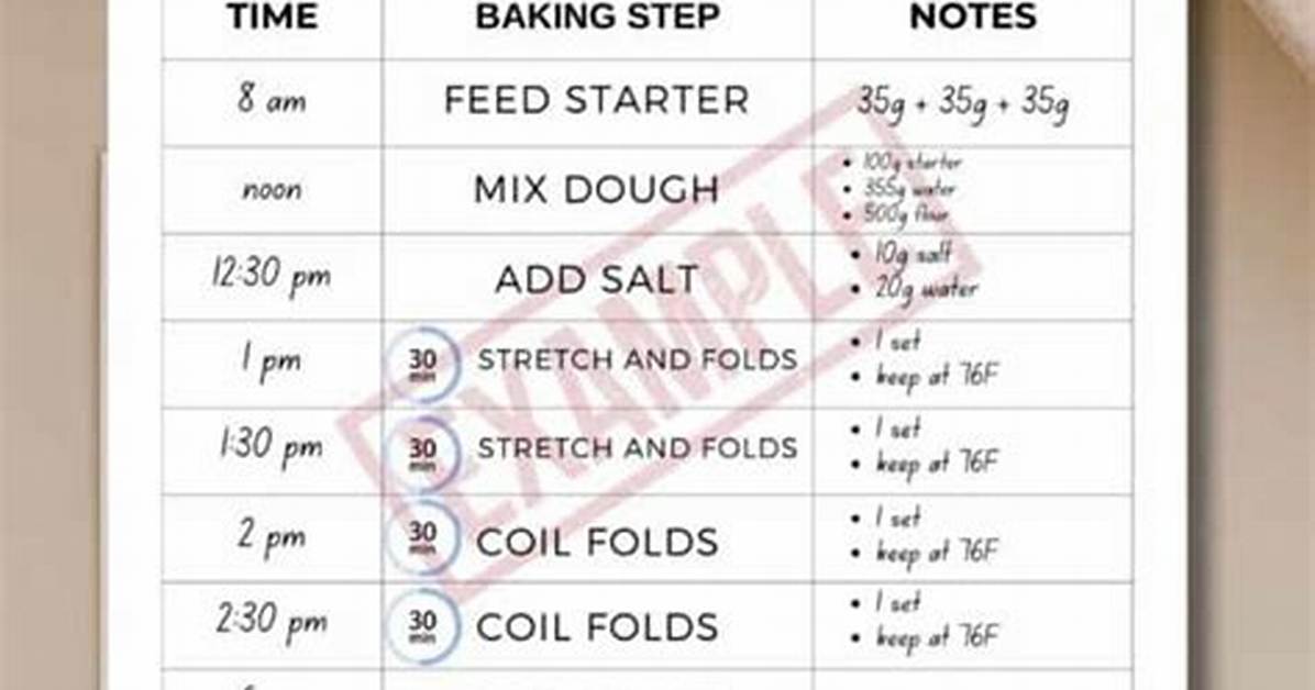 The Ultimate That Sourdough Gal Starter Guide Step by Step For