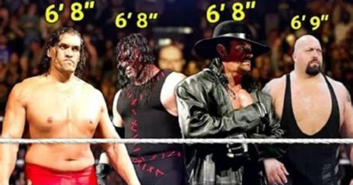 The Undertaker Stats Guide Height Weight Reach And