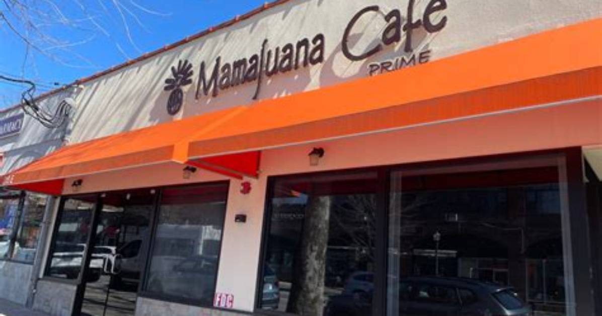 The Visual Evolution of Mamajuana Cafe Hartsdale from Grand Opening To