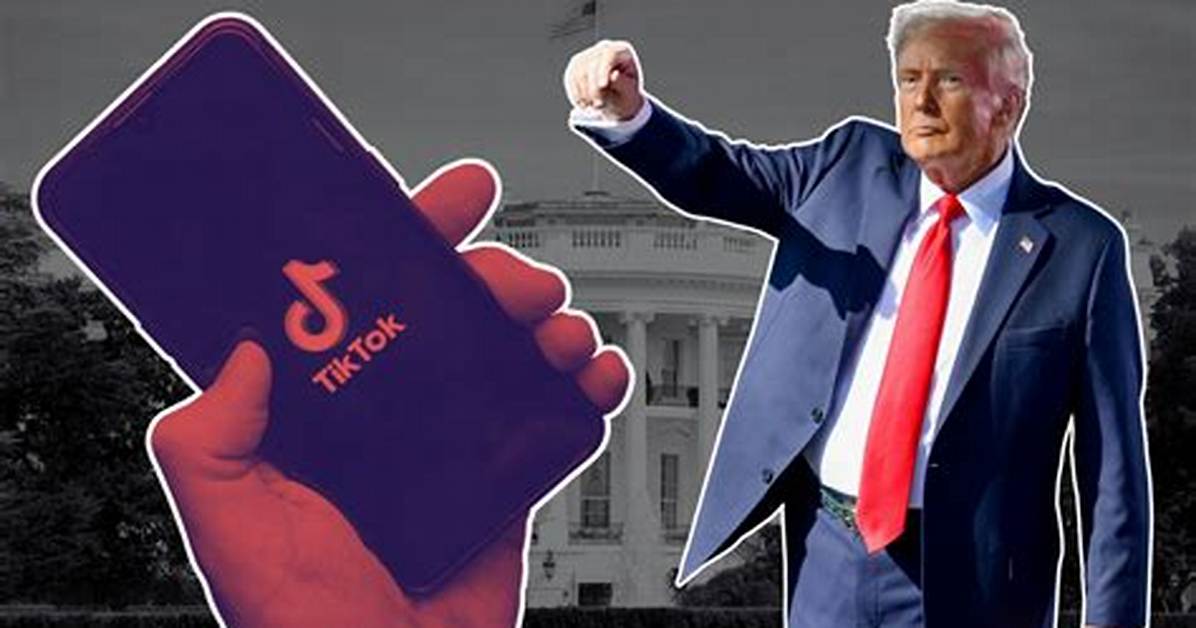 Tiktok Web Under Siege Why Governments Are Blocking
