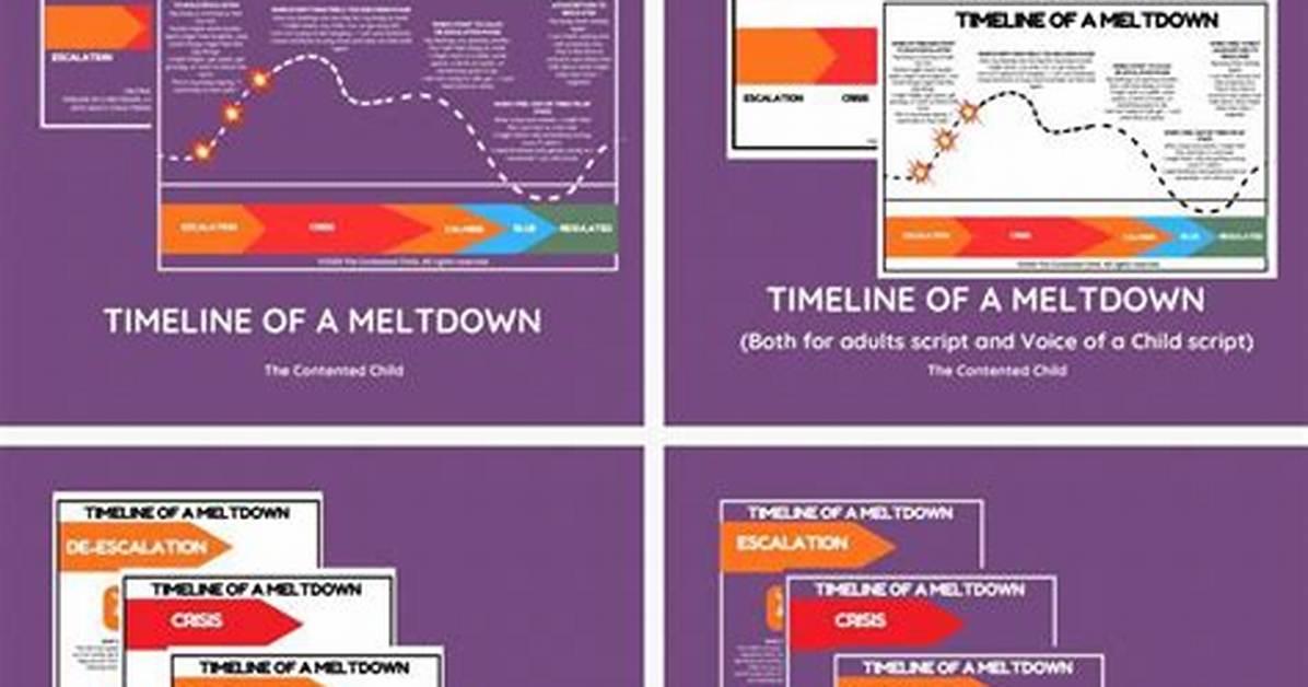 Timeline of a Meltdown How the Influencers Gone Wild Backlash Reached A