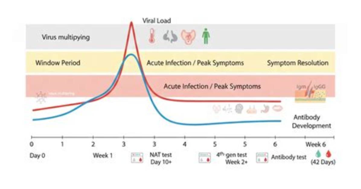 Timeline of a Viral Sensation How