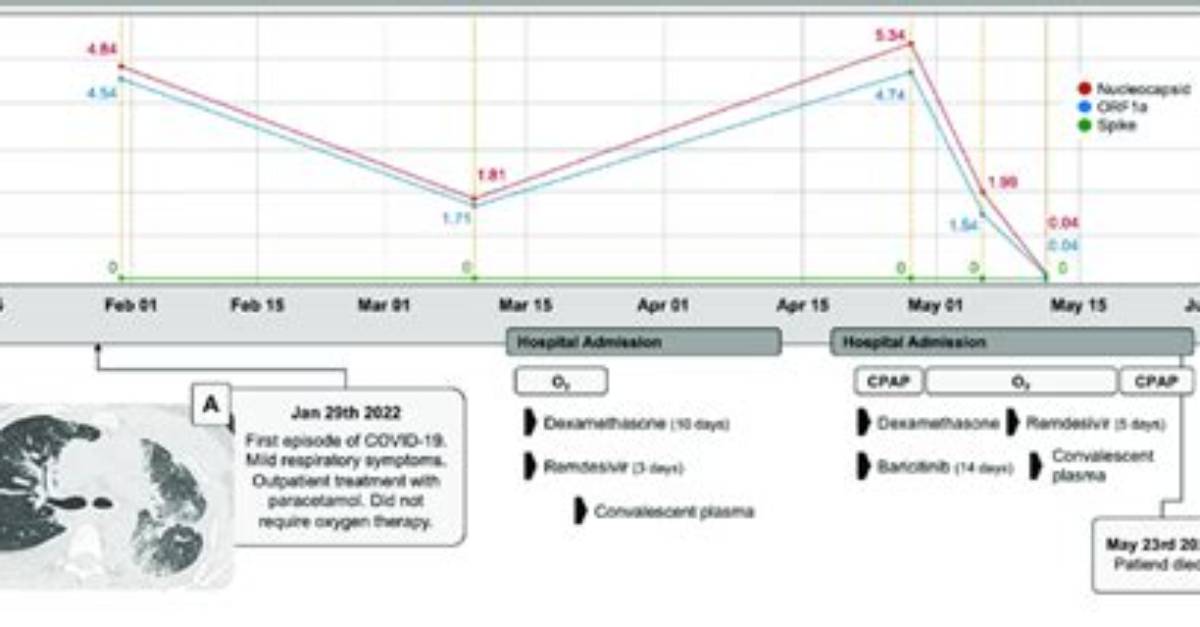 Timeline of a Viral Spike How Five Words Captured the Internet S