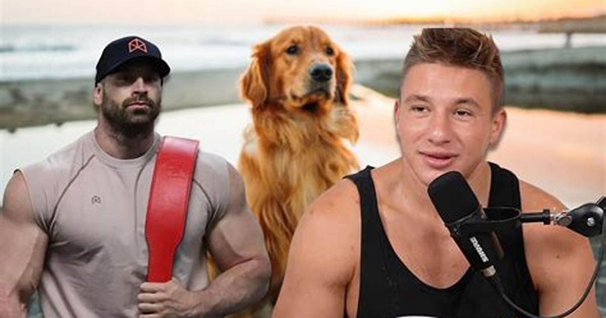 Timeline Stevewilldoit S Wild History with His Ex Girlfriend and Recent Nba