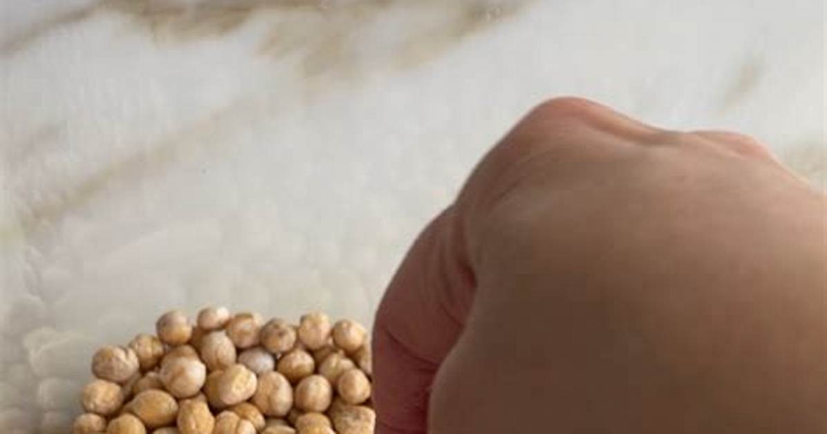 Tired of Chickpeas The