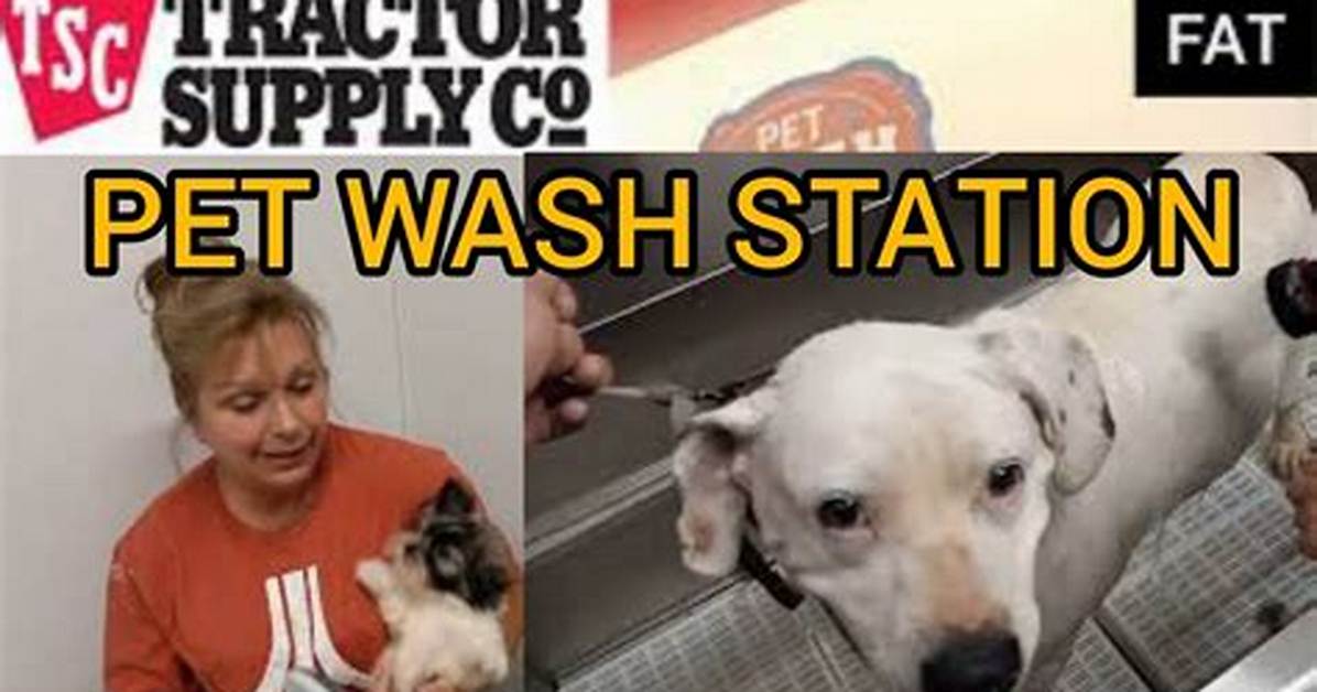Tractor Supply Dog Wash Latest Updates and Full