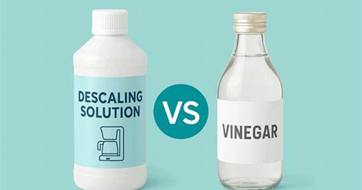 Vinegar vs Official Descaling Solution Which One Actually Cleans Your