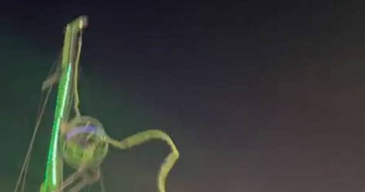 Viral Slingshot Ride Slip What Really Happened in The