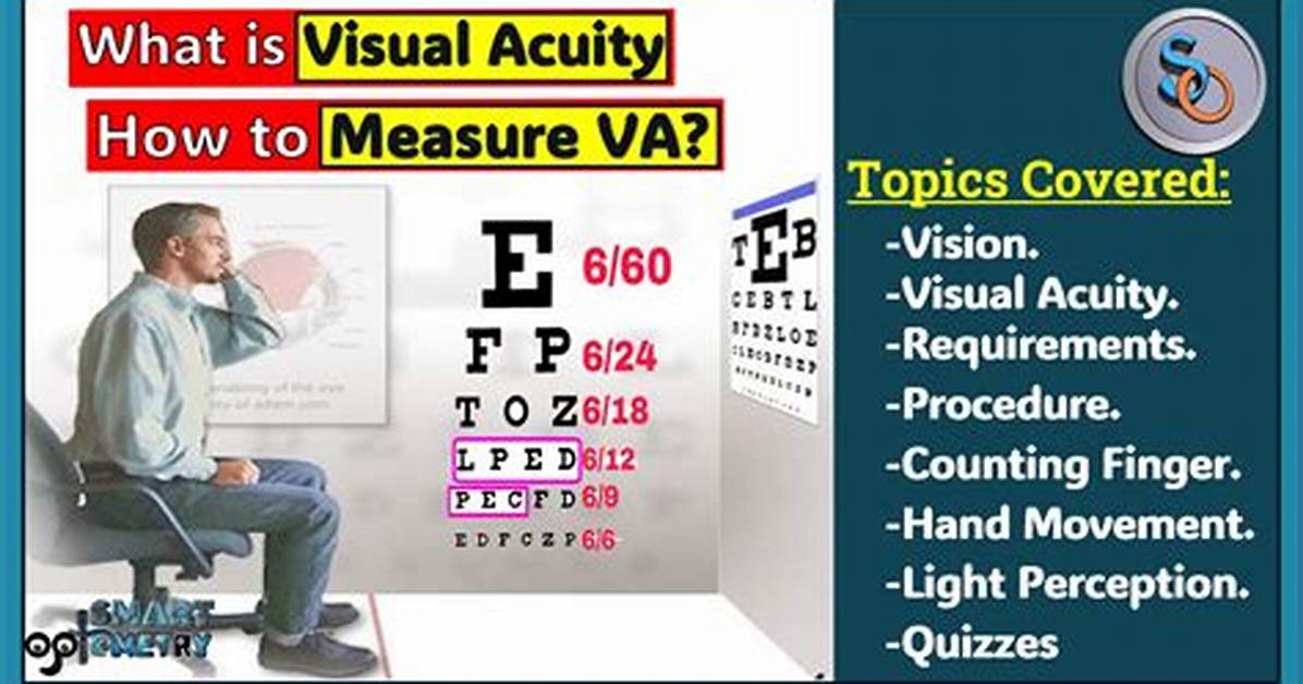 Visual Measurement Guide Exactly How to Measure 1 3 Cup Using a 1 4 Cup