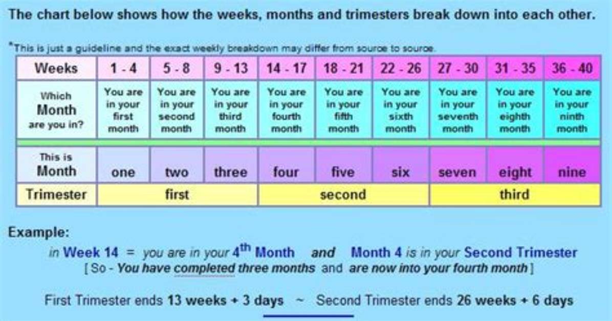 Visual Month to Week Breakdown Exactly How Many Weeks Are In