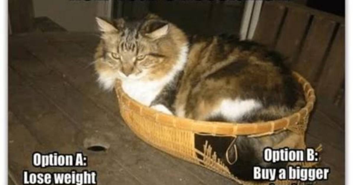 Visual Proof the Funniest Happy New Year Jokes and Posts