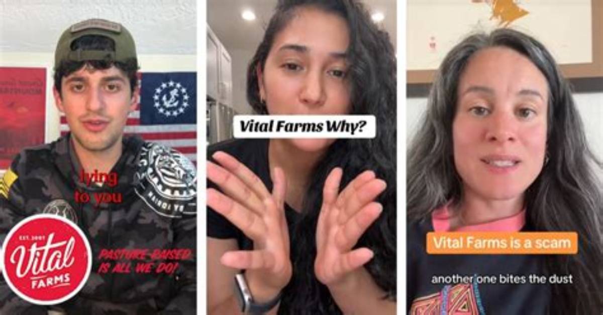 Vital Farms Controversy Explained Everything Shoppers Need to Know