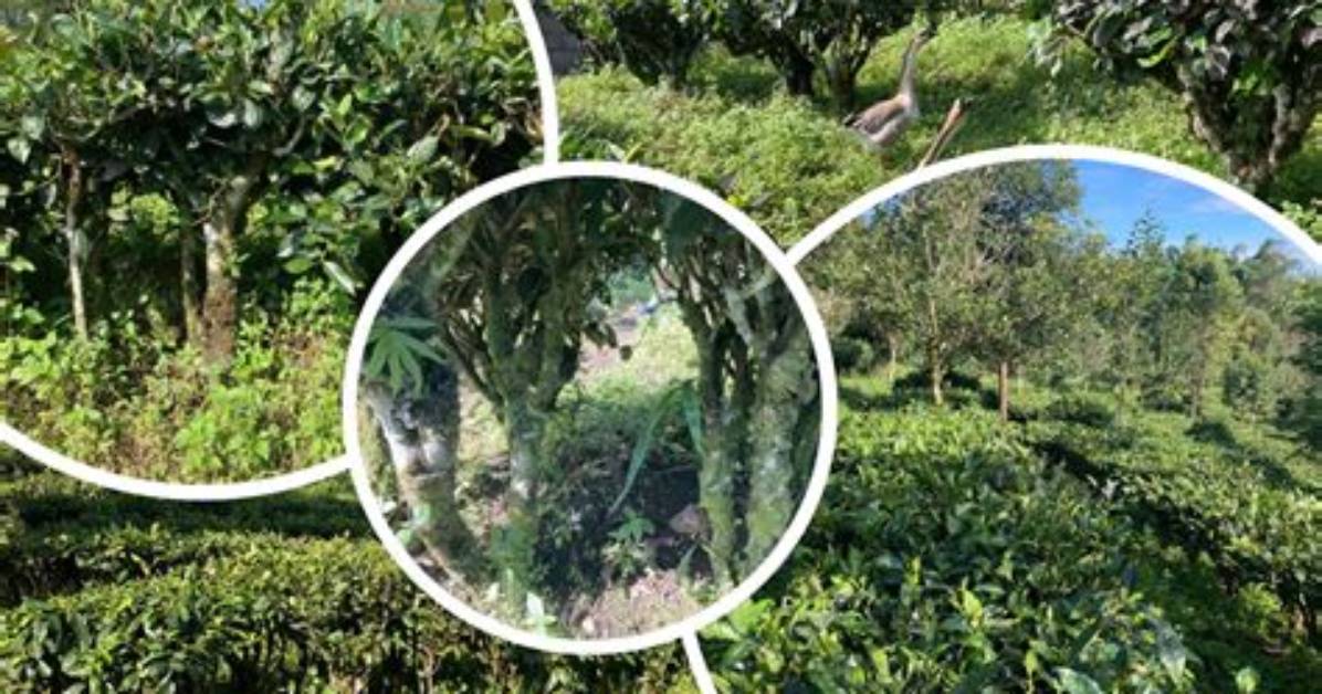 Wakuman Shan Bing Gong Qian Dianno Pin Jianewo Xian De Jian Zheng Zhi Ren Yong Pintoautodoa Mai