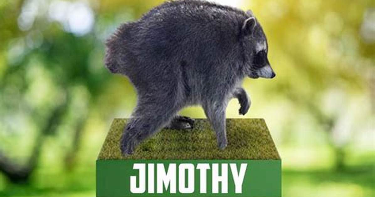 Watch Jimothy in Action Inside The