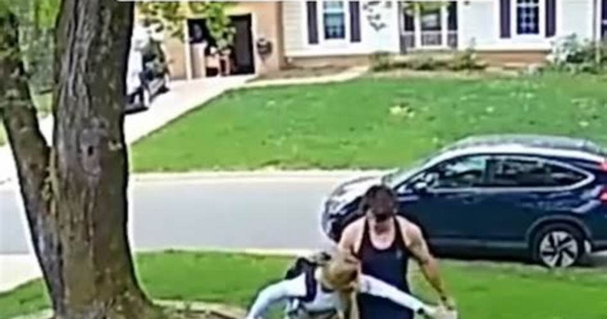 Watch the Viral Footage Ring Set on Fire Ahead of Gorlock the Destroyer
