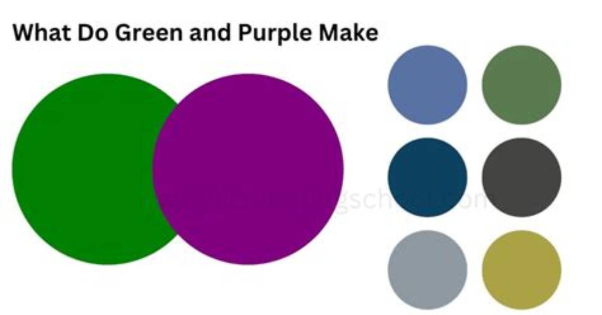 What Colors Do Purple And