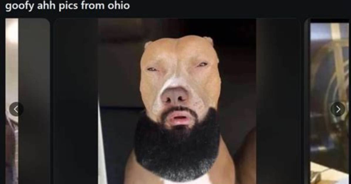 What Does Goofy Ahh Dog Really Mean the Viral