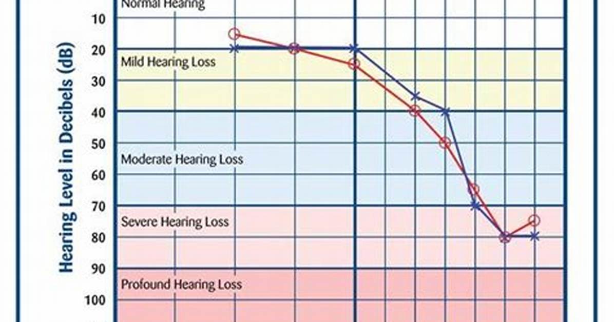 What Does Hl Stand for the Complete Guide to Slang Tech And