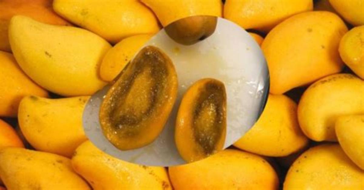 What Does Mango Lacey Really Mean Inside the Viral Mystery Baffling The