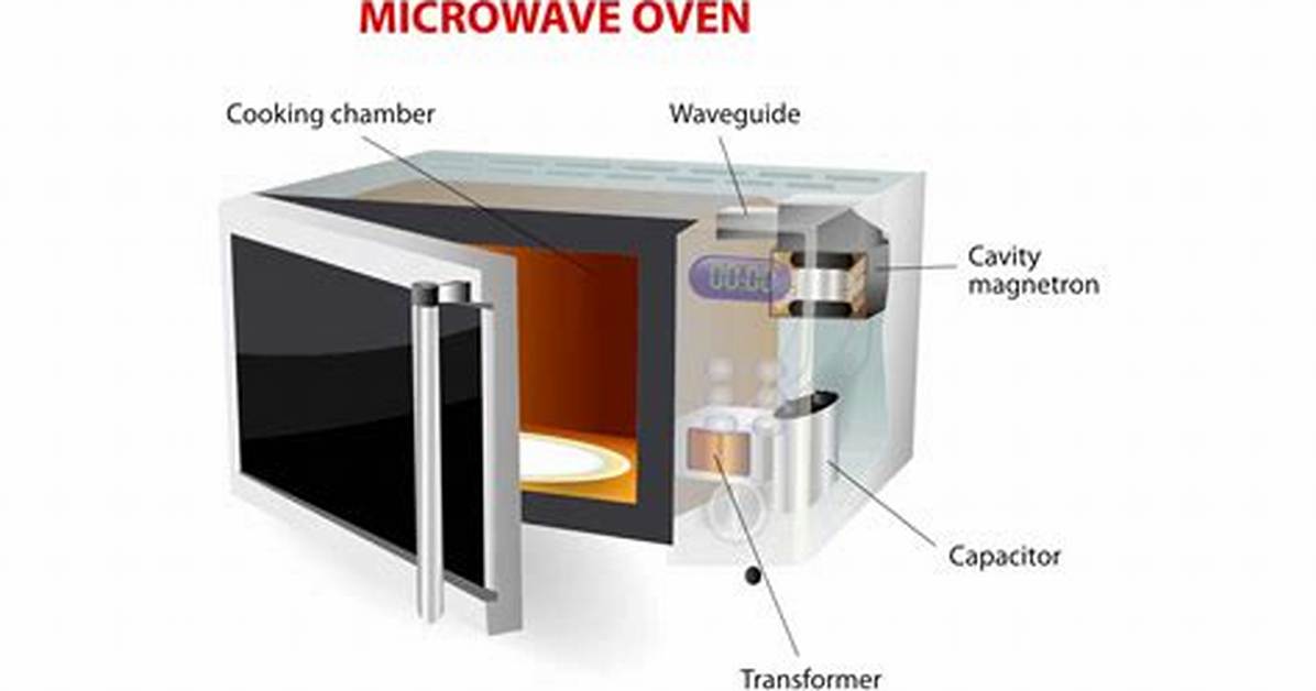 What Happens Inside the Microwave The