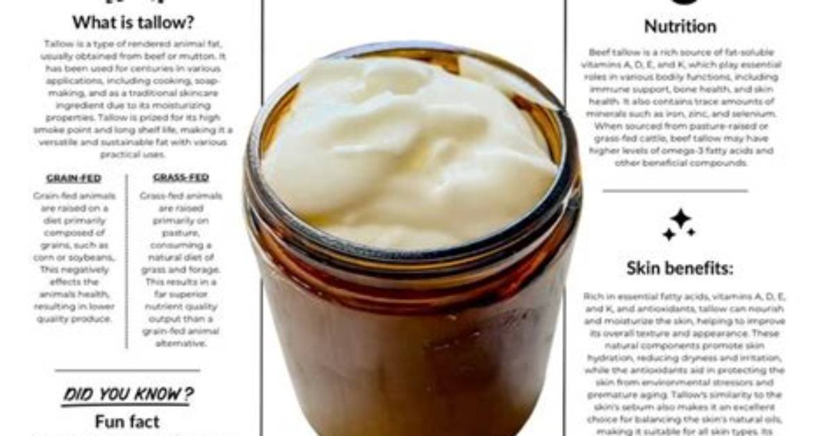What Is Beef Tallow in Spanish Fact Checking Regional Dialects from Mexico To