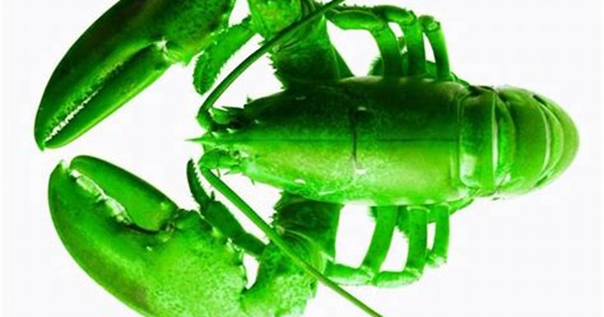 What Is the Green Lobster Meme Inside the Bizarre Viral Video Taking Over