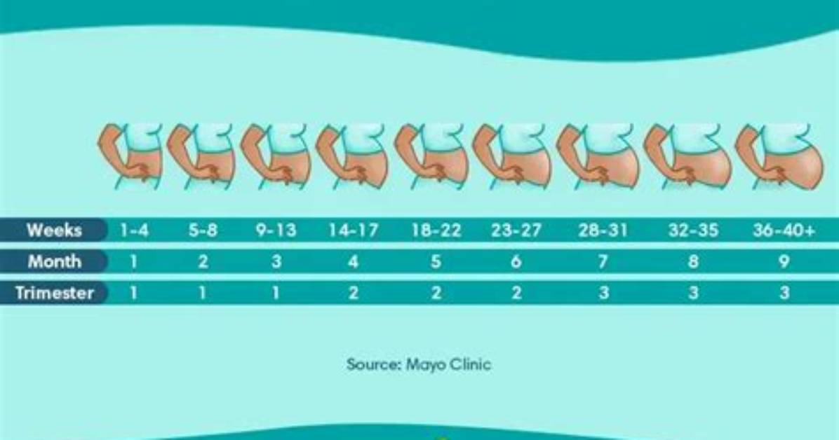 When Does the Bump Really Pop the Surprising Science Behind Mid