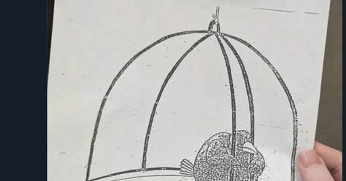 Where Did the Bird in Cage Meme Come from Original Source And