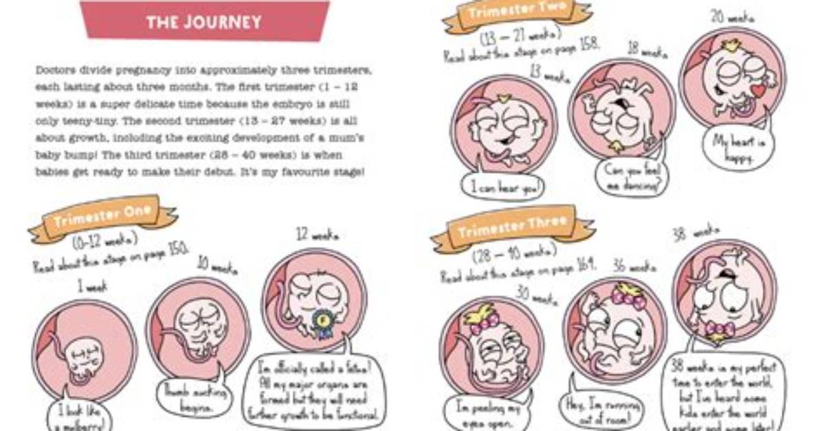 Where Do Babies Come from the Ultimate Guide for Answering Kids With